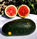Moon & Stars Red, Organic Watermelon Seed