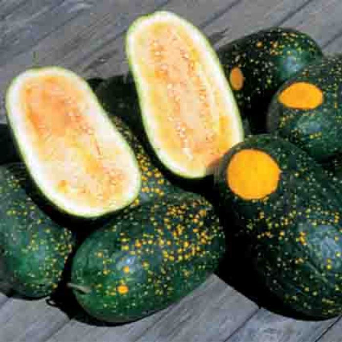 Moon & Stars Yellow, Organic Watermelon Seeds