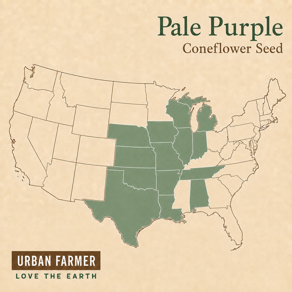Pale Purple, Coneflower Seed