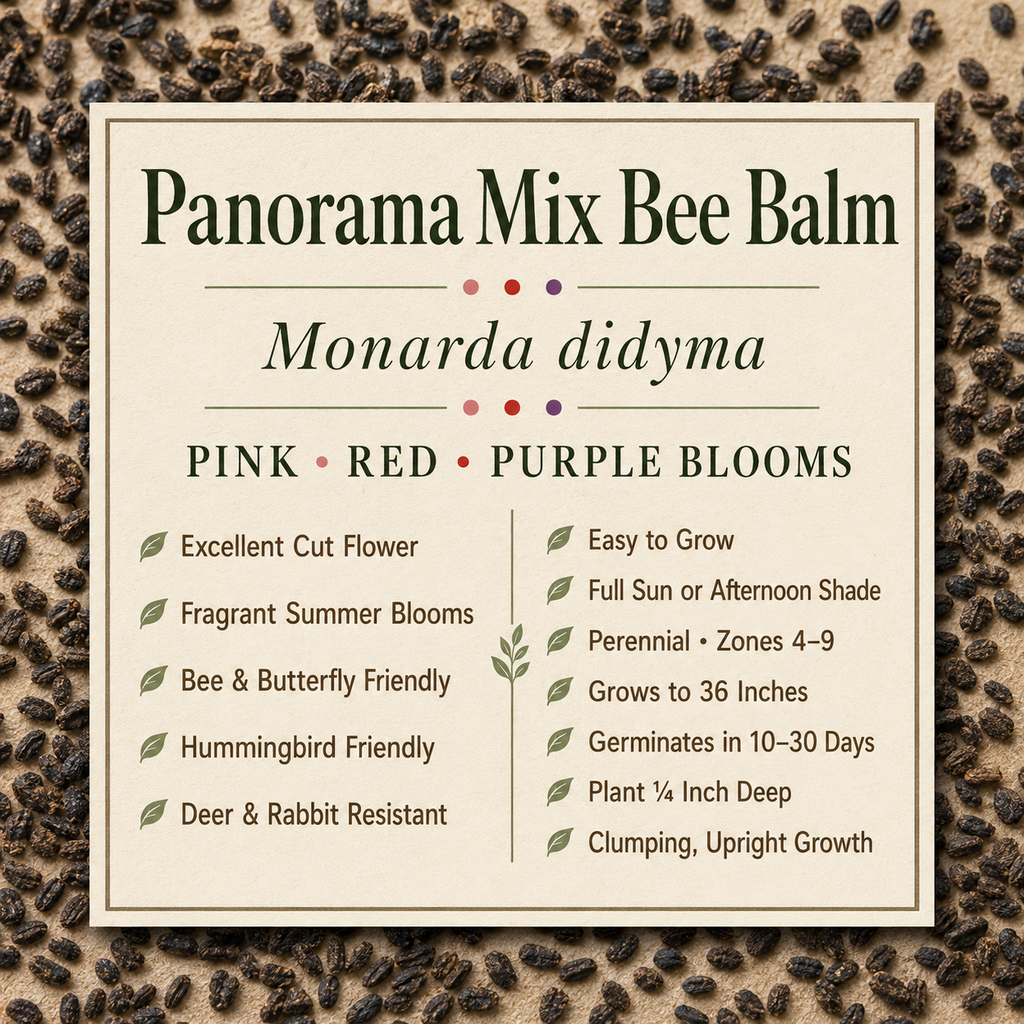 Panorama Mix Bee Balm growing attributes