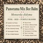 Panorama Mix Bee Balm growing attributes