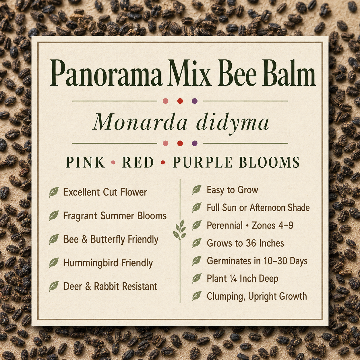 Panorama Mix Bee Balm growing attributes