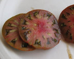 Paul Robeson, Tomato Seeds