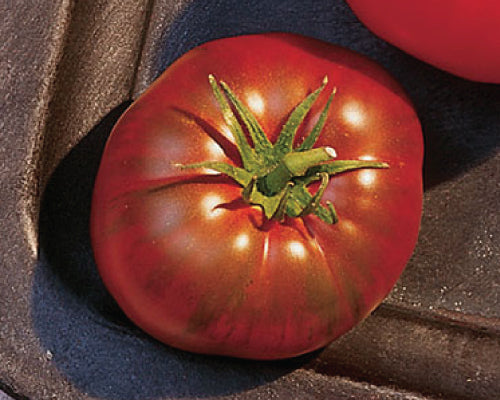 Paul Robeson, Tomato Seeds