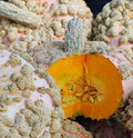 Peanut, Squash Seeds