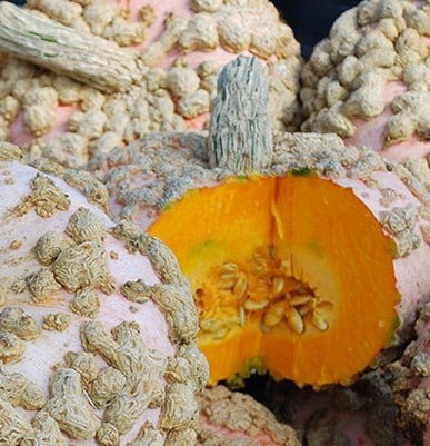 Peanut, Squash Seeds