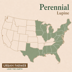 Perennial Lupine native map