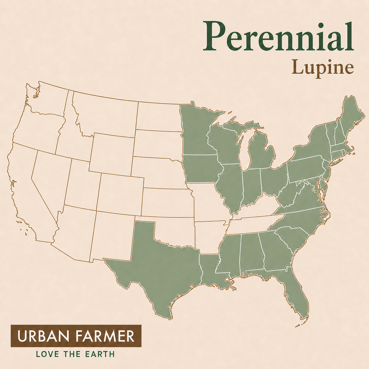 Perennial Lupine native map