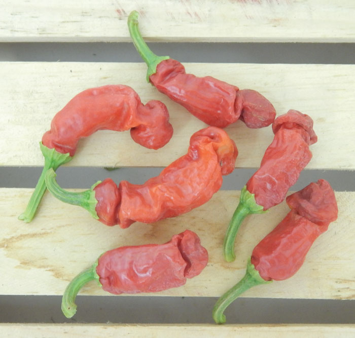 Peter, Pepper Seeds