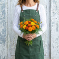 Petite Mix, Marigold Seeds