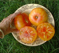 Pineapple, Tomato Seeds