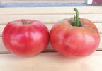 Pink Brandywine, Tomato Seeds