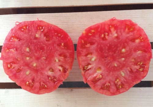 Pink Brandywine, Tomato Seeds