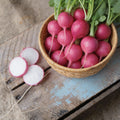 Pink Beauty, Radish Seeds