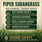 Piper Sudangrass biomass and soil benefits