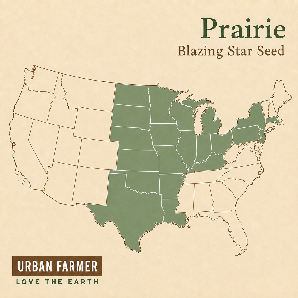 Prairie, Blazing Star Seed