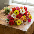 Profusion Mix, Zinnia Seeds