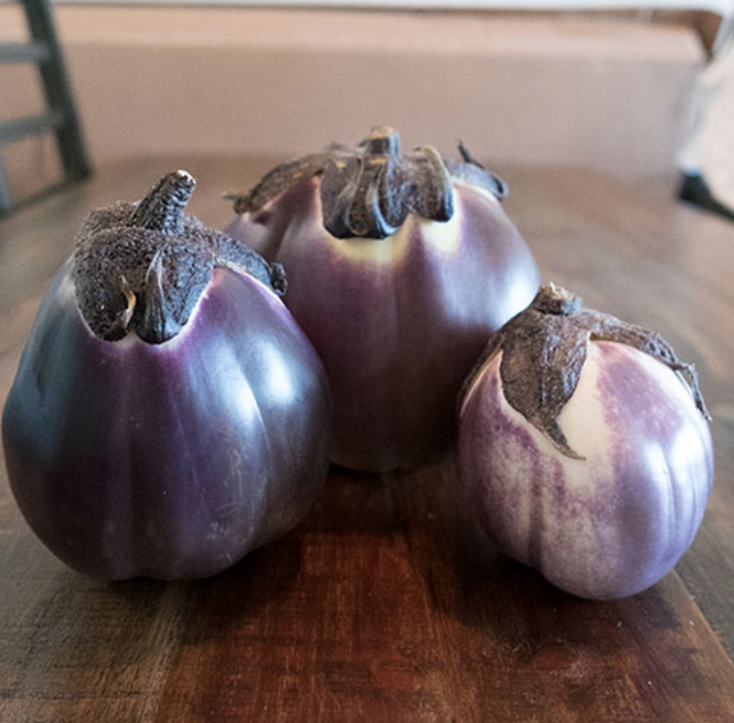 Prosperosa, (F1) Eggplant Seeds