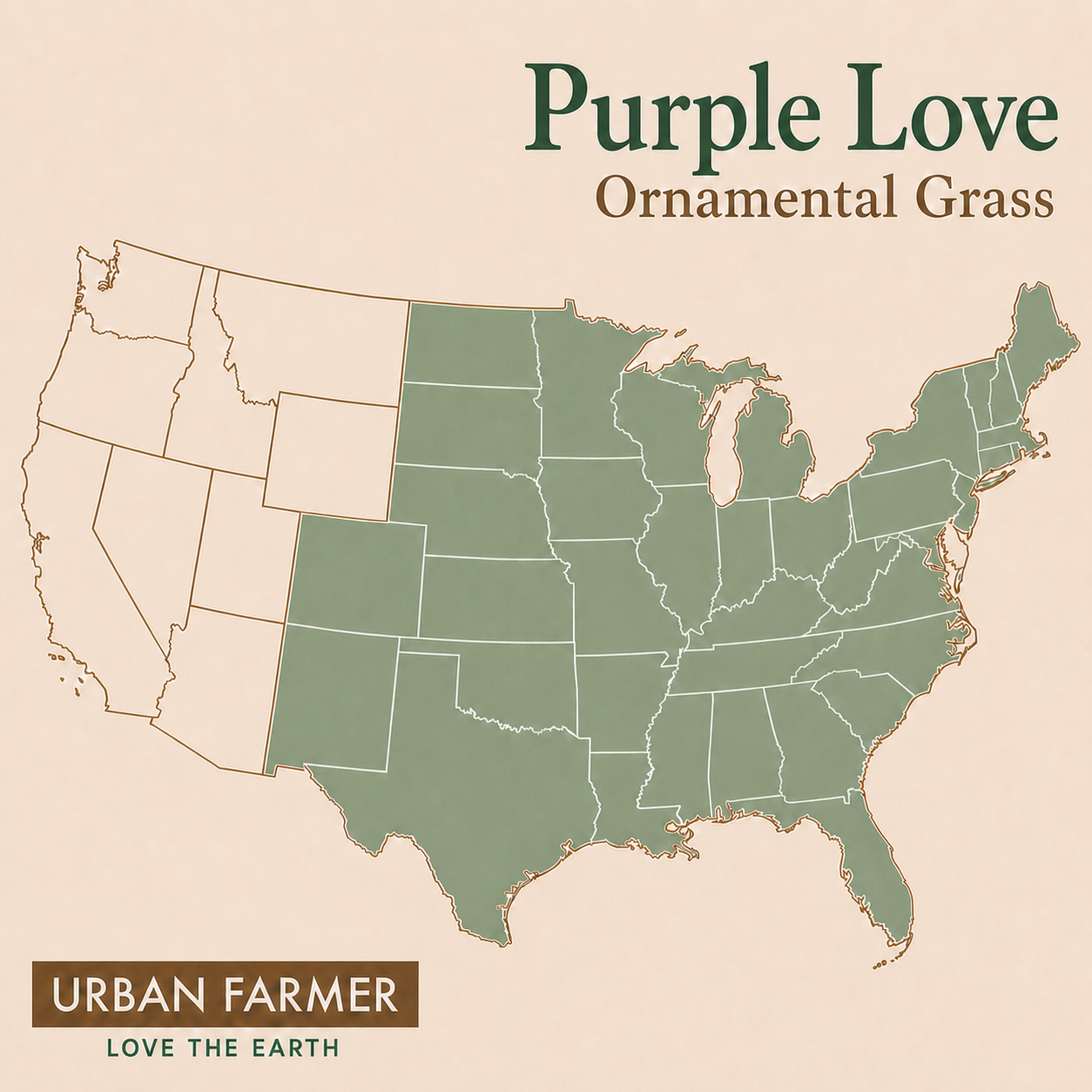 Purple Love Grass native map