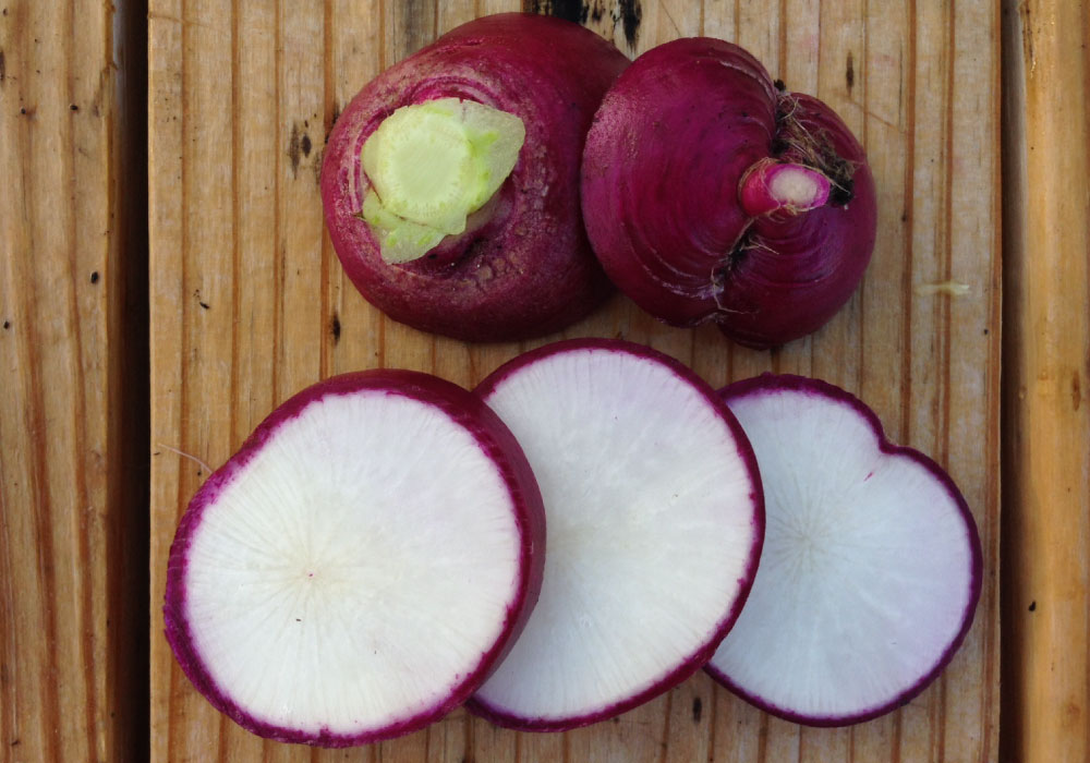 Purple Plum, Radish Seeds