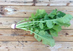 Purple Top White Globe, Turnip Seeds