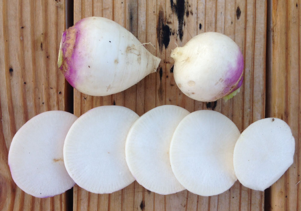 Purple Top White Globe, Turnip Seeds