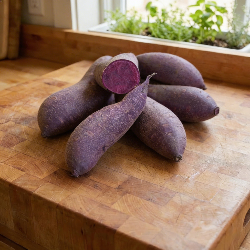 Purple Majesty, Sweet Potato Slips