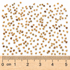 Purple Prairie Clover, Dalea Seed
