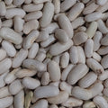 Quicksilver Mountain, Bean Seeds