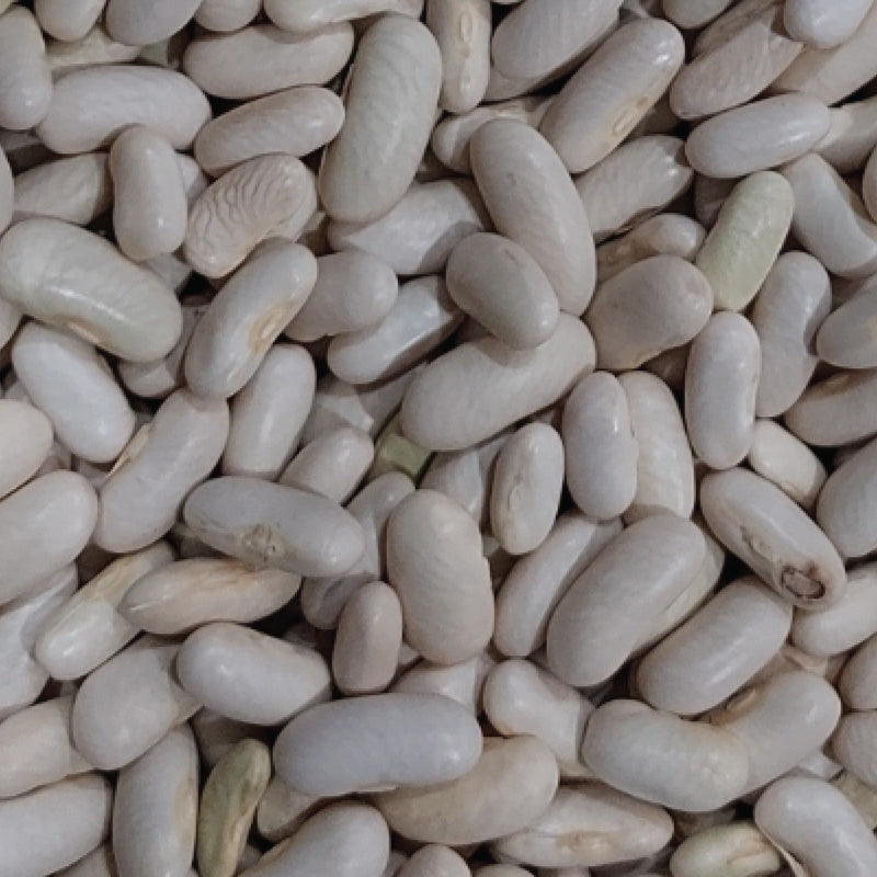 Quicksilver Mountain, Bean Seeds