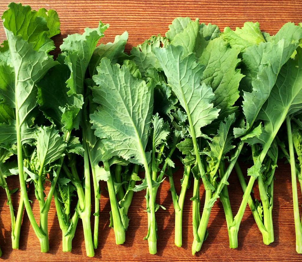 Spring Raab, Broccoli Seeds