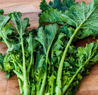Spring Raab, Broccoli Seeds