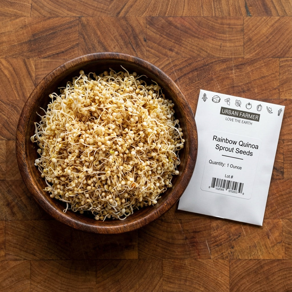Brilliant Rainbow Quinoa, Greens