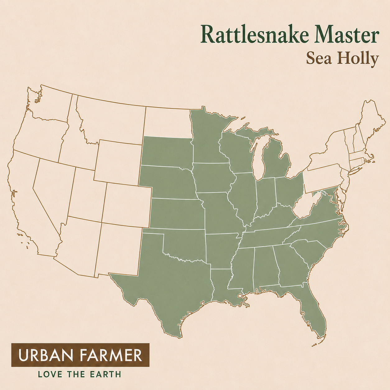 Rattlesnake Master Sea Holly native map