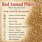 Red Annual, Phlox Seed