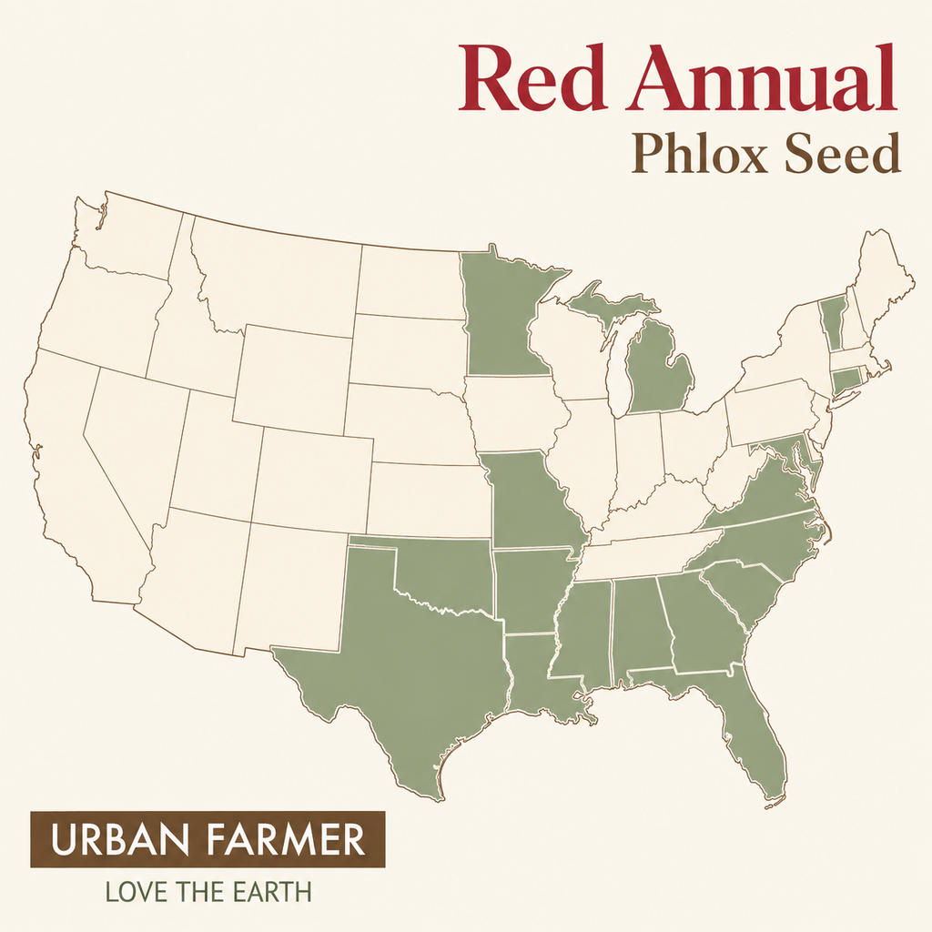 Red Annual, Phlox Seed
