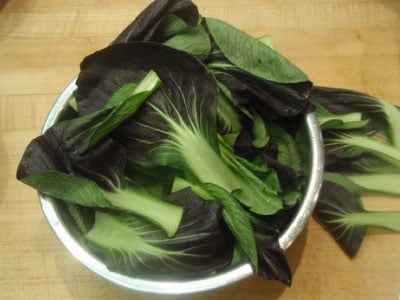 Red Choi, Pak Choi Cabbage