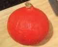 Red Kuri, Squash Seeds