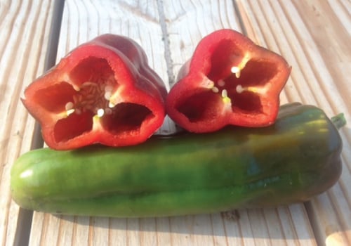 Marconi Red, Pepper Seeds