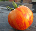 Red Zebra, Tomato Seeds