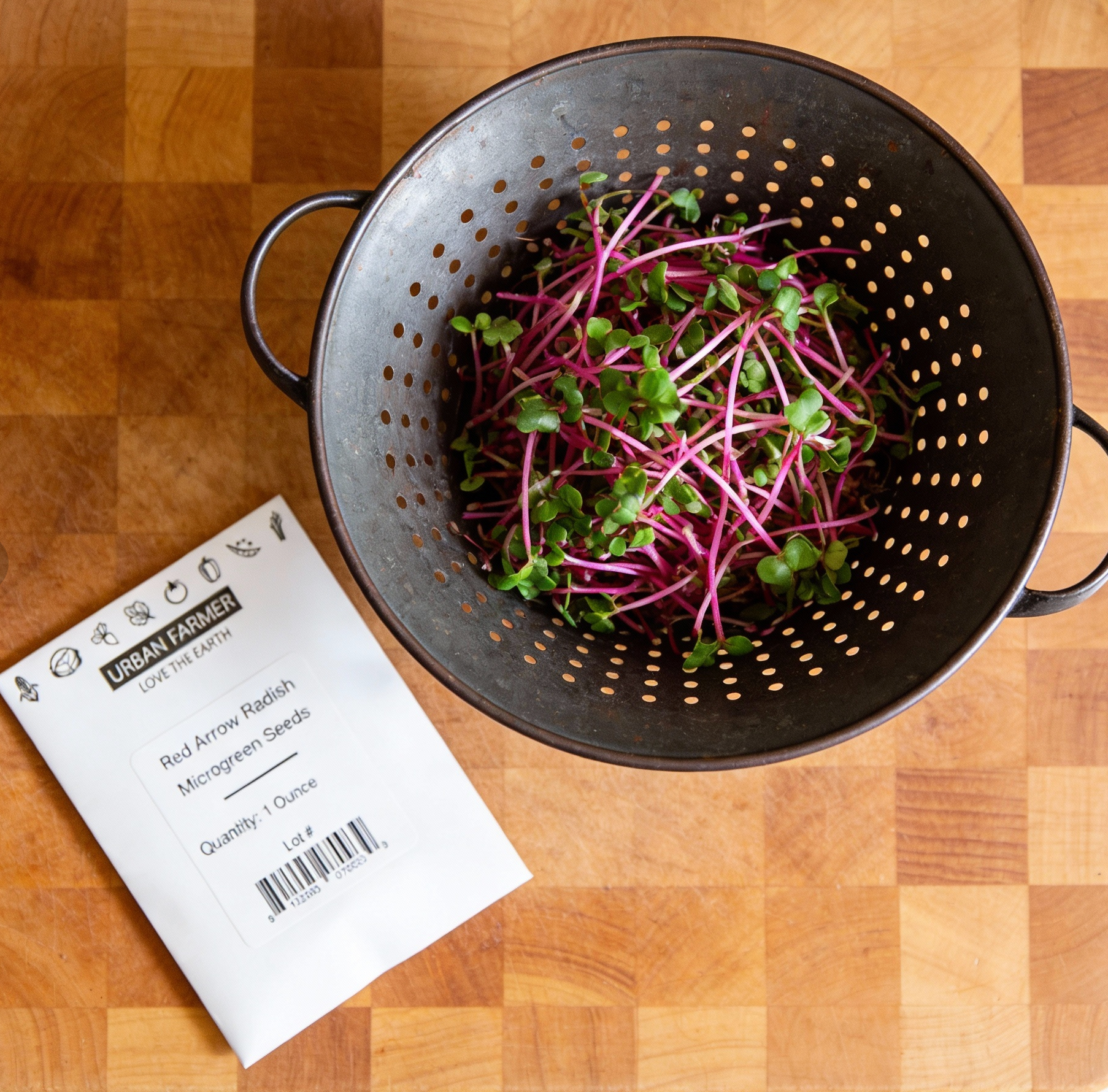 Red Arrow, Radish Seeds