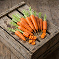 Red Cored Chantenay, Carrot Seeds