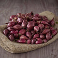 Red Karmen, Onion Sets