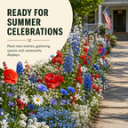 Red White Blue Flower Blend