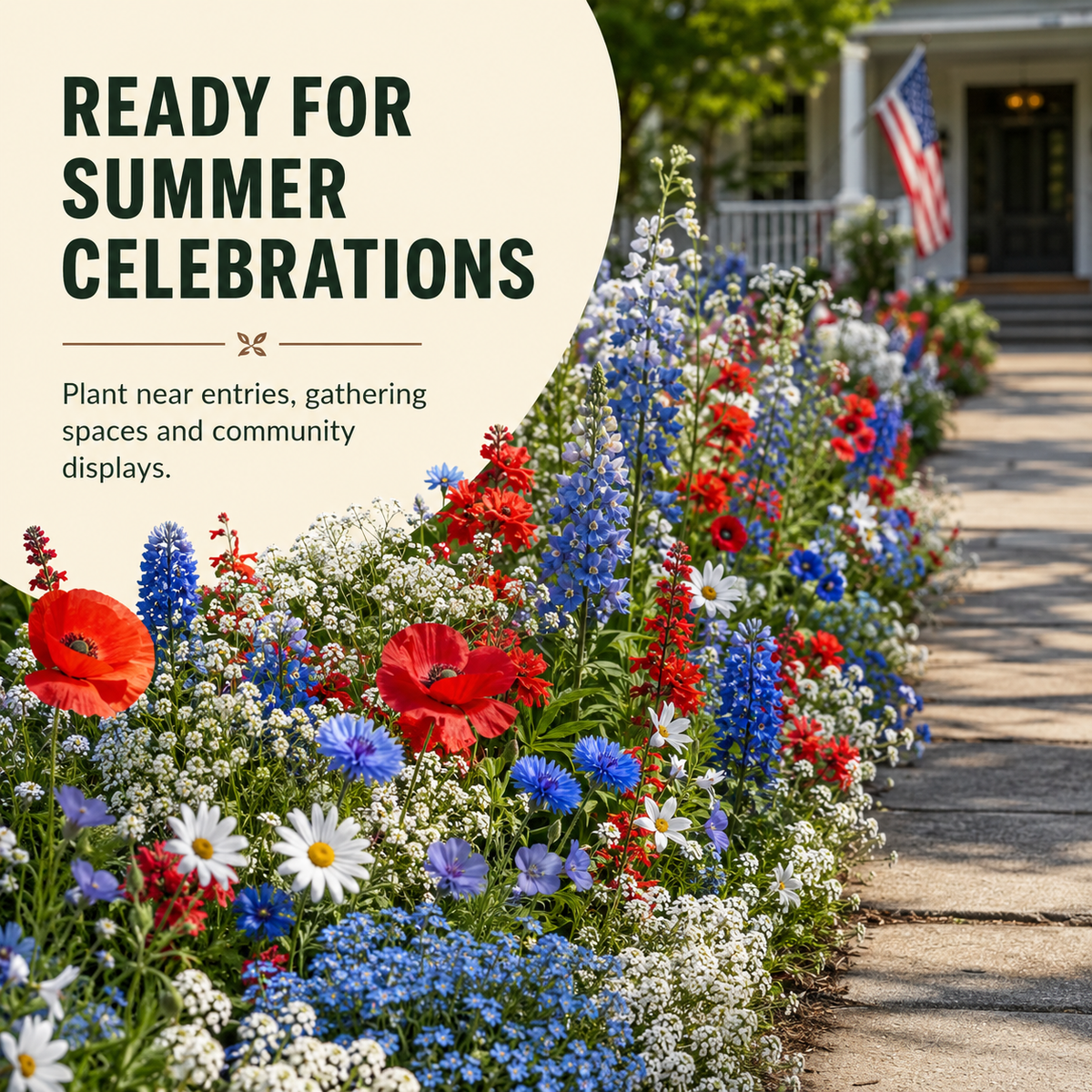 Red White Blue Flower Blend