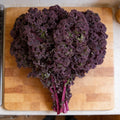 Redbor, (F1) Kale Seed