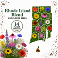 Rhode Island Blend, Wildflower Seed