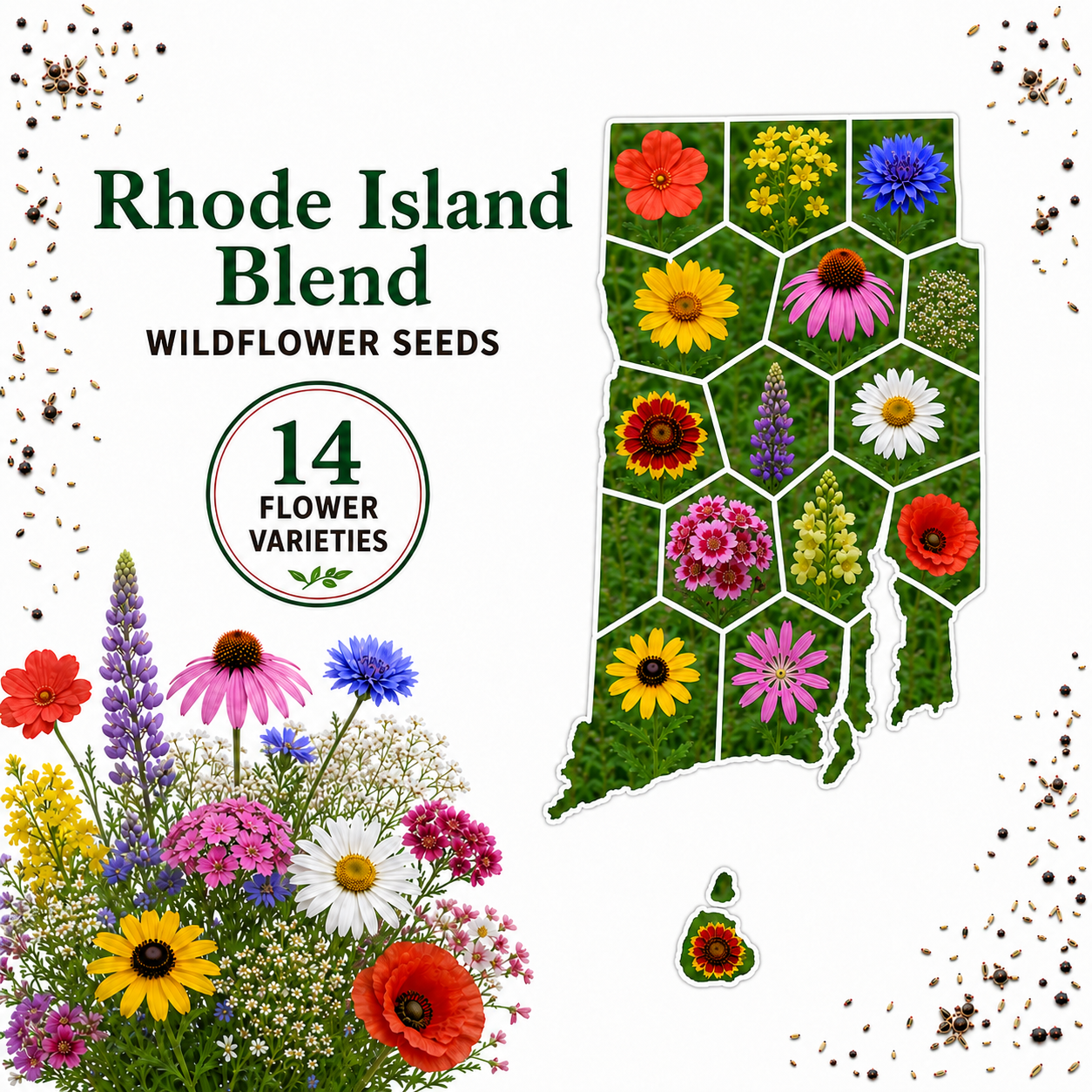 Rhode Island Blend, Wildflower Seed