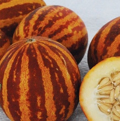 Rich Sweetness, Melon Seeds