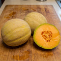 Rockstar, (F1) Melon Seeds